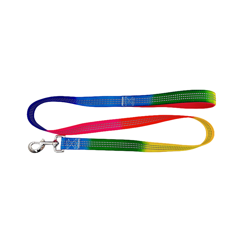 D Ring Dog Slip Leads Leash Kennel Tali Nilon
